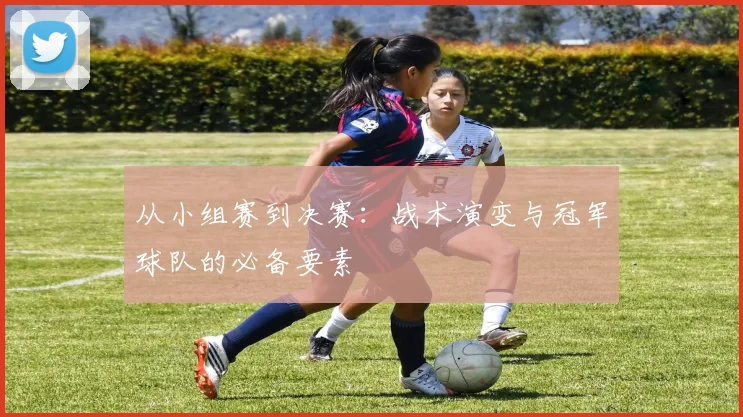 从小组赛到决赛：战术演变与冠军球队的必备要素