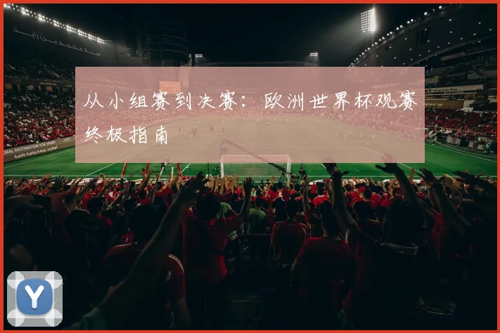 从小组赛到决赛：欧洲世界杯观赛终极指南