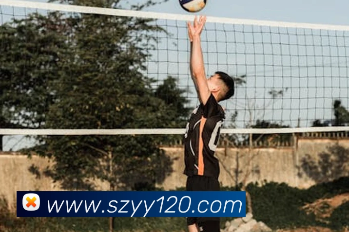 App Interface Preview